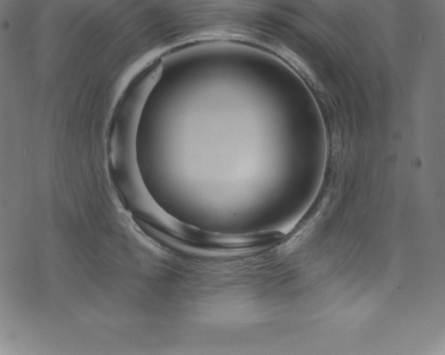 X0000076450854200610061321