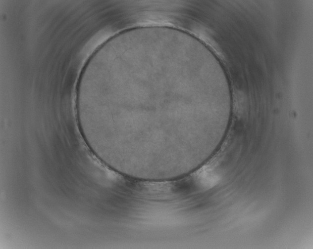 X0000076450856200610061321