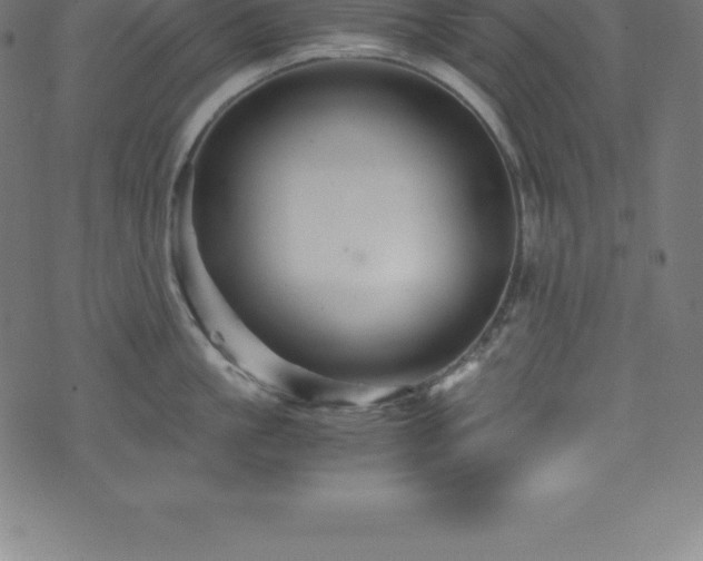 X0000076450861200610061321