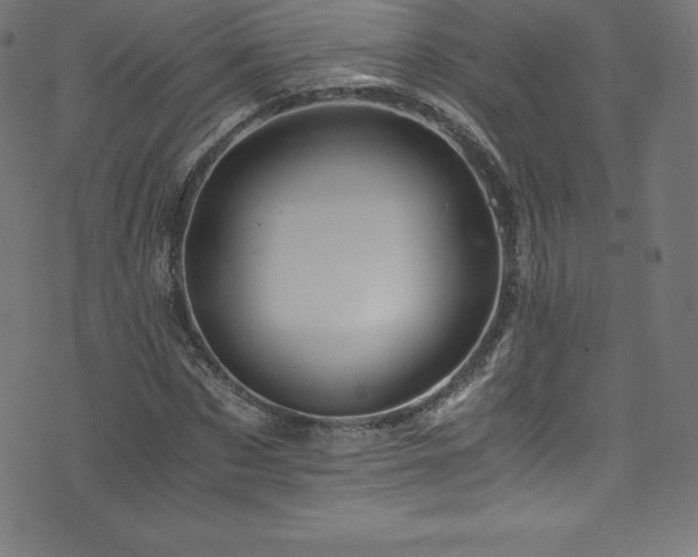 X0000076450873200610061320