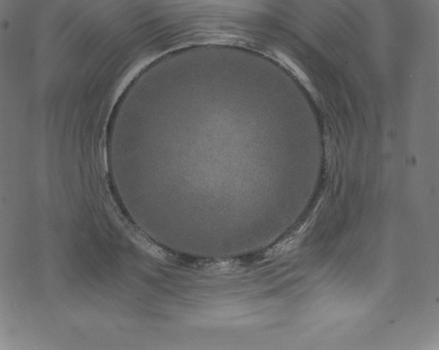 X0000076450891200610061320
