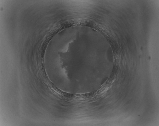 X0000076450913200610061318