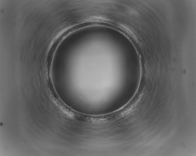 X0000076450931200610061319