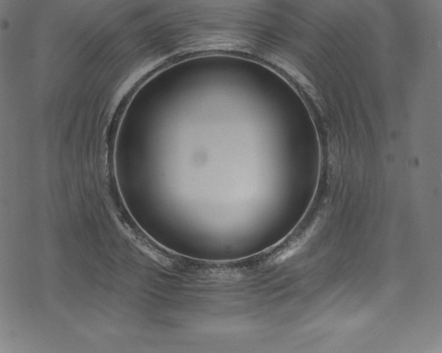 X0000076450933200610061319