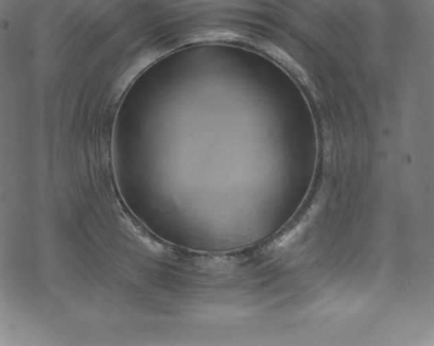 X0000076450945200610061319