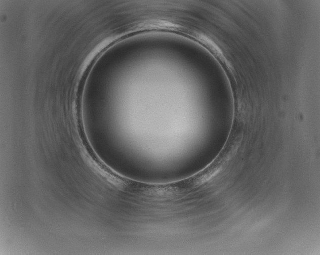 X0000076450947200610061319