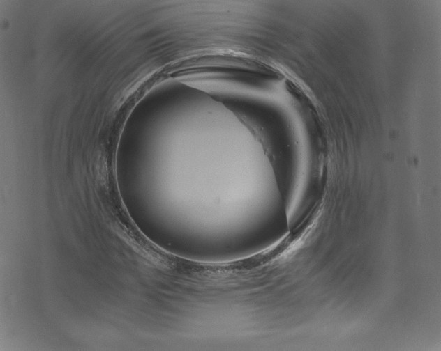X0000076450969200610061318