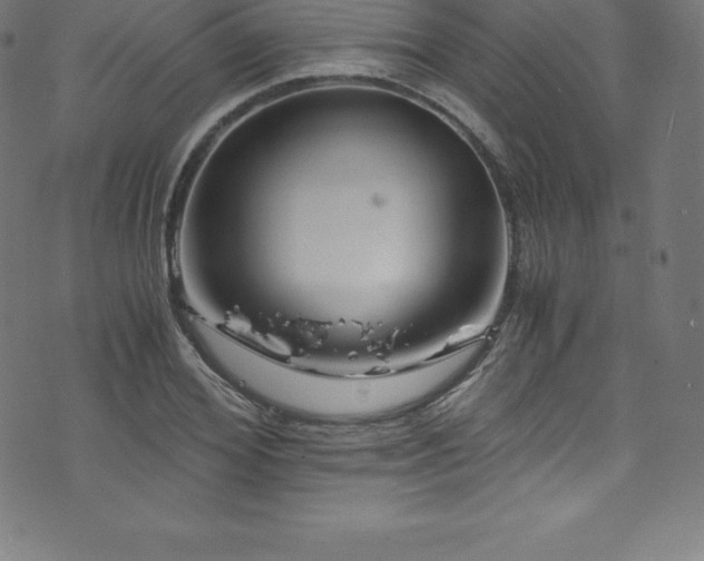 X0000076450980200610061318
