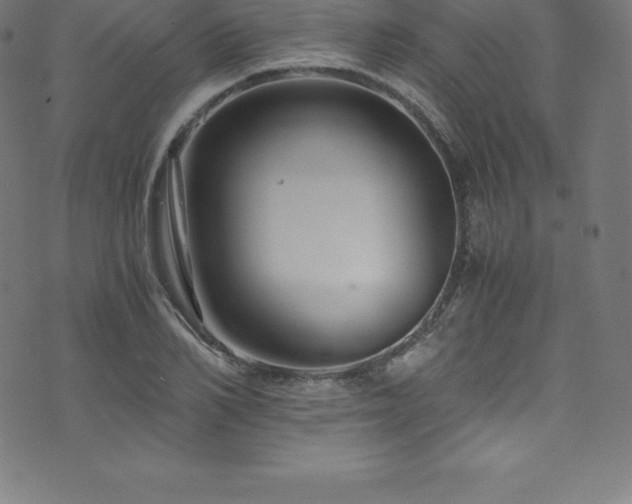 X0000076450982200610061318