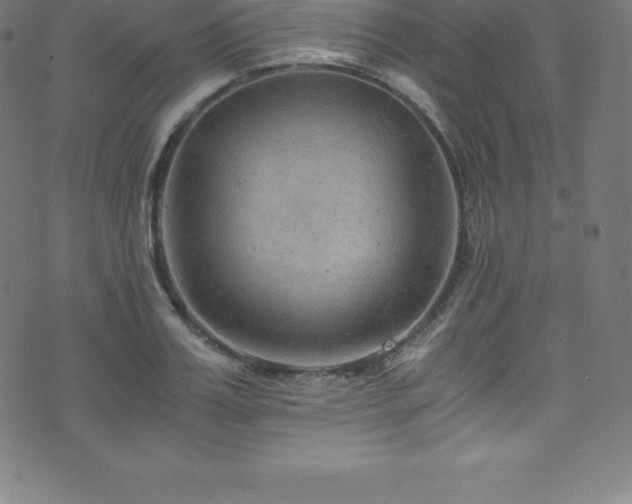 X0000076450987200610061318