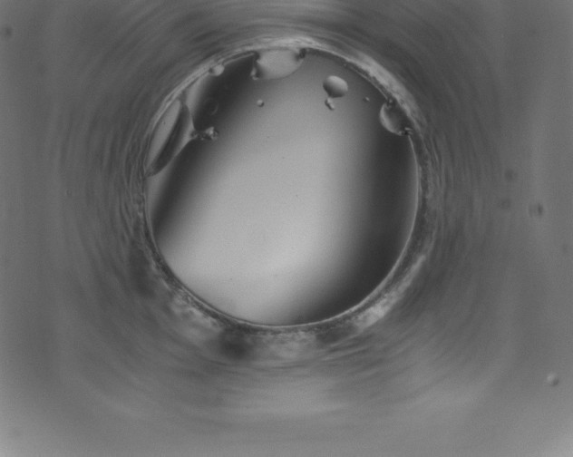 X0000076451001200610061318