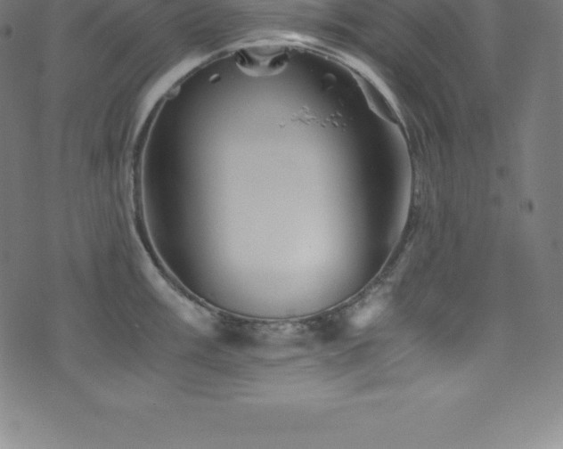 X0000076451003200610061318