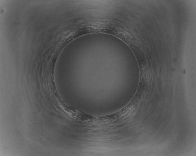 X0000076451009200610061317