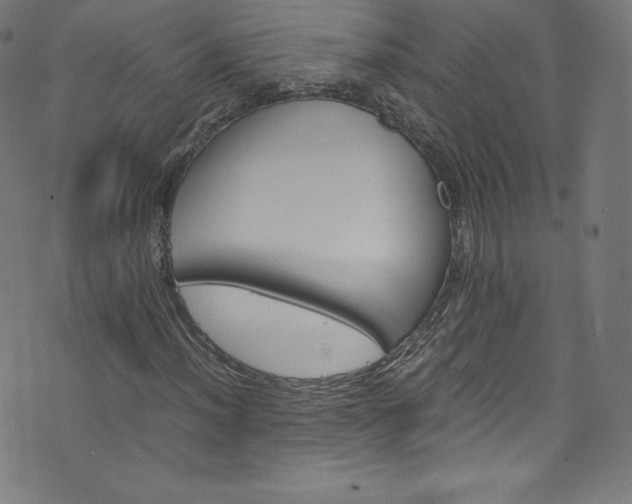 X0000076451012200610061317
