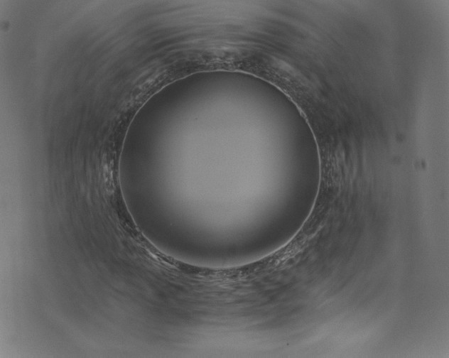 X0000076451013200610061317