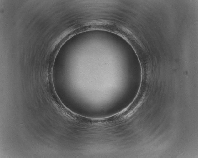 X0000076451017200610061317