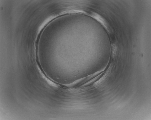X0000076451046200610061318