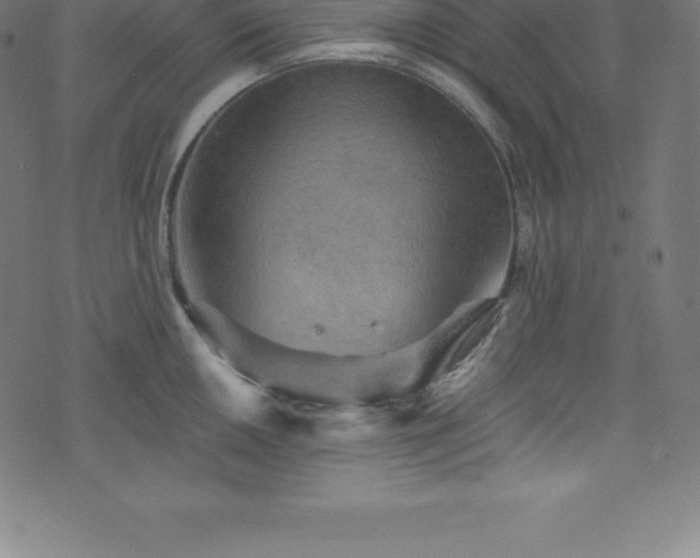 X0000076451050200610061318
