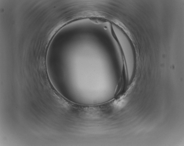 X0000076451089200610061316