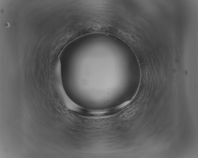 X0000076451105200610061315