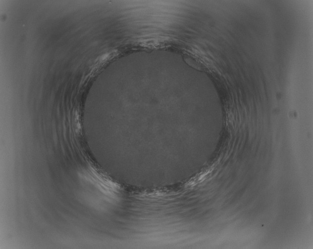 X0000076451106200610061315