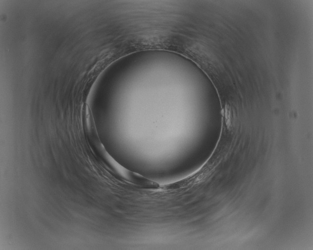 X0000076451107200610061315