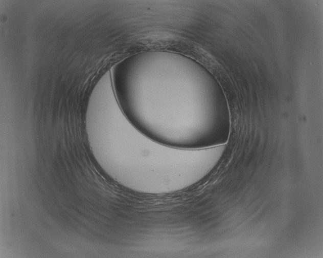 X0000076451108200610061315