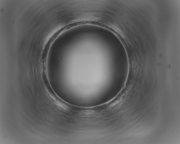 X0000076451119200610061315