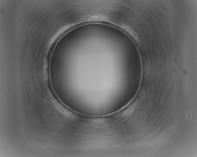 X0000076451126200610061316