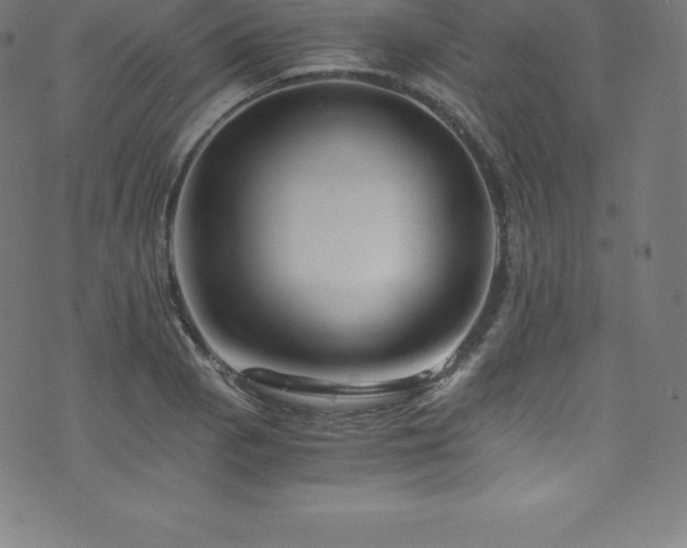 X0000076451129200610061316