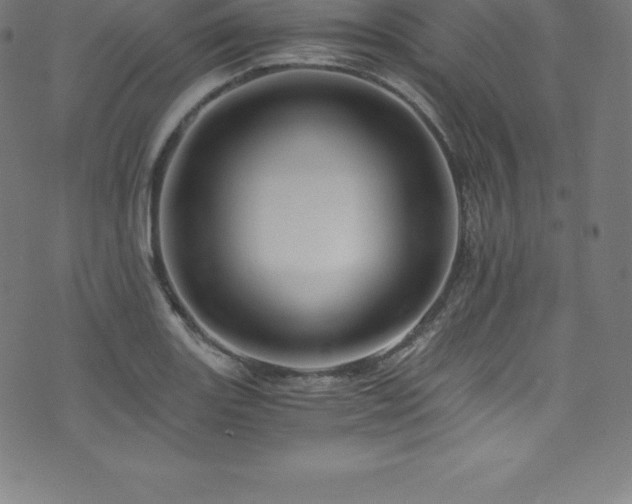 X0000076451131200610061316