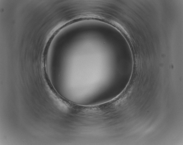 X0000076451133200610061316