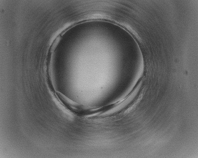 X0000076451134200610061316