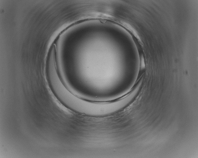 X0000076451136200610061316