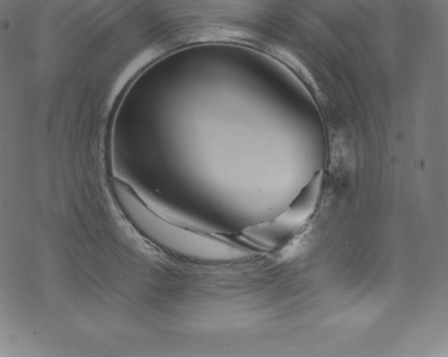 X0000076451138200610061316