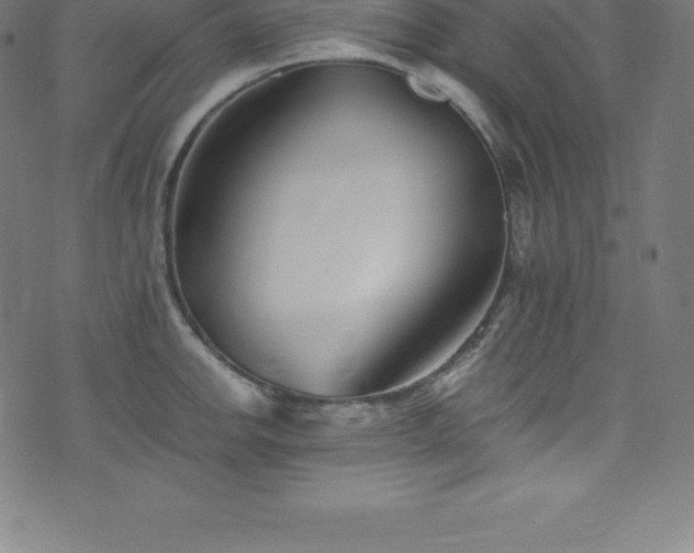 X0000076451142200610061316