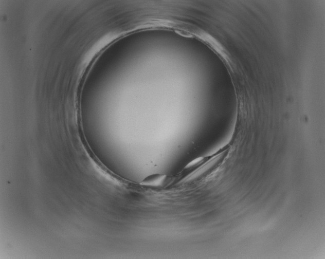 X0000076451143200610061316