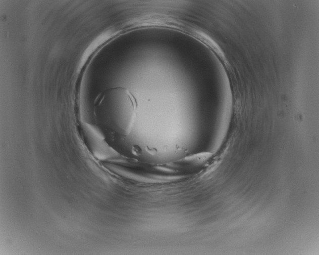 X0000076451146200610061316