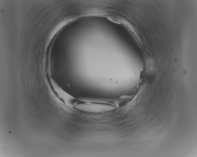 X0000076451147200610061316