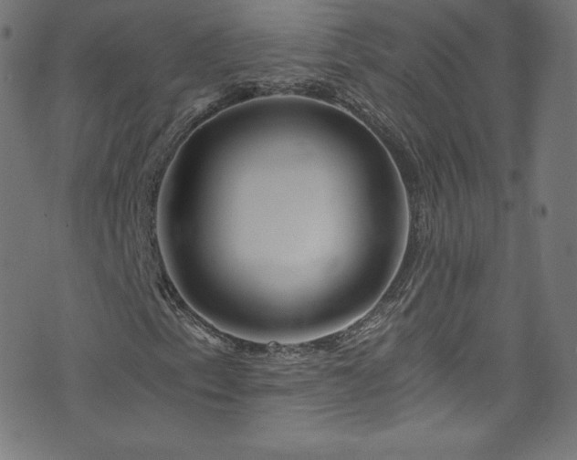 X0000076451153200610061315