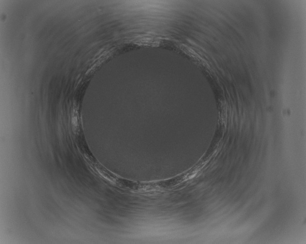 X0000076451154200610061315
