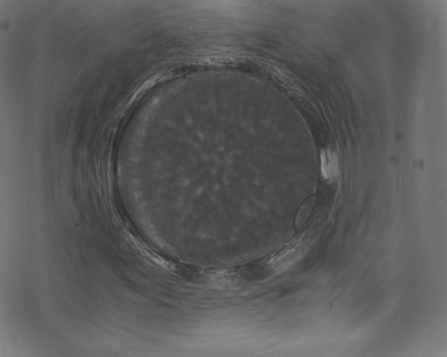 X0000076451155200610061315