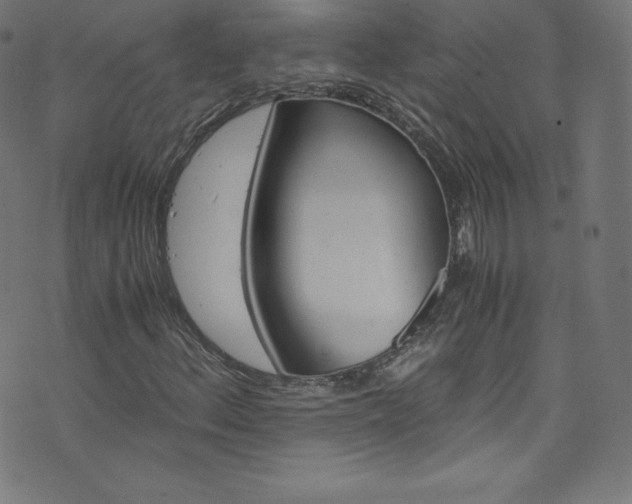X0000076451156200610061315