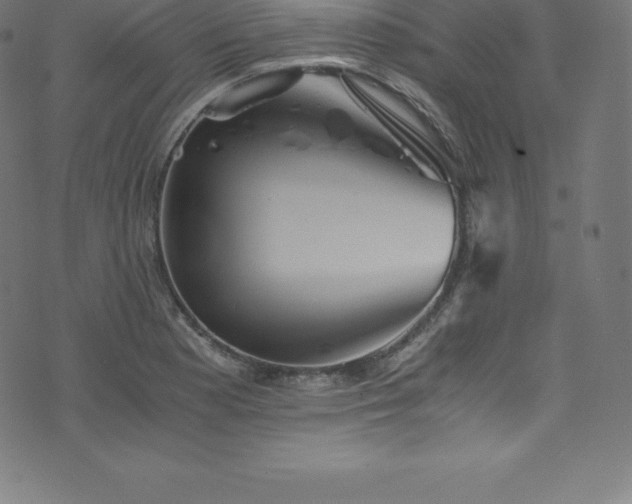 X0000076451177200610061315