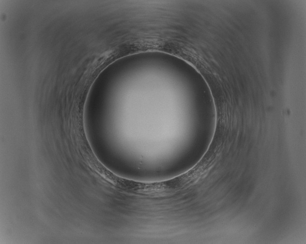 X0000076451201200610061314