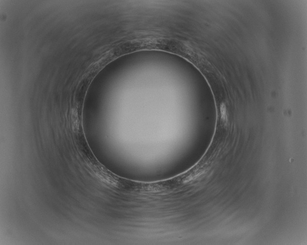 X0000076451203200610061314