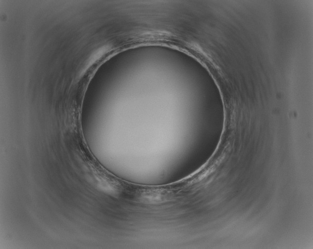 X0000076451211200610061314