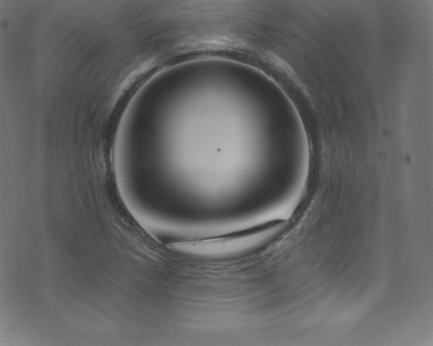 X0000076451218200610061314