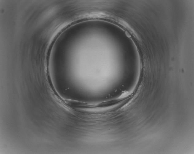 X0000076451232200610061314