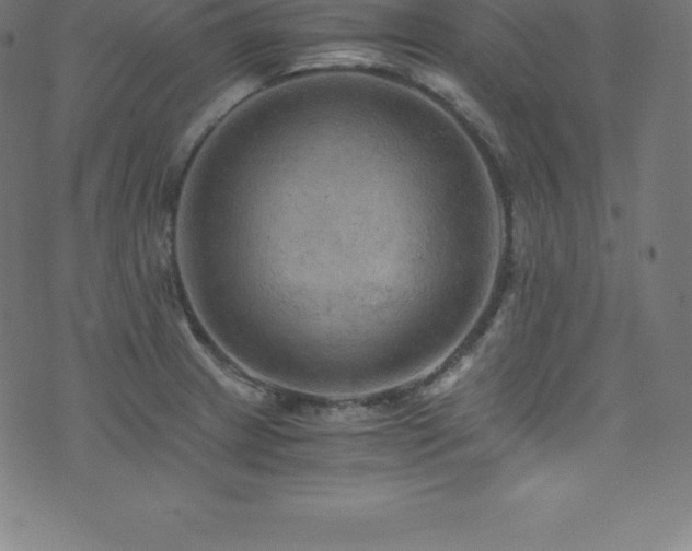 X0000076451233200610061314